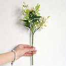 Olive Fruit Branch Bouquet Greenery Flower