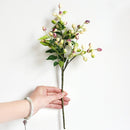 Olive Fruit Branch Bouquet Greenery Flower