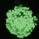 Globe LED String Light