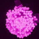 Globe LED String Light