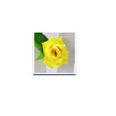 230cm/ 91in Silk Rose Artificial Flower Garland