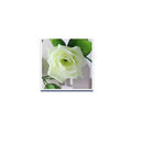 230cm/ 91in Silk Rose Artificial Flower Garland