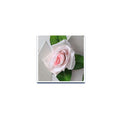 230cm/ 91in Silk Rose Artificial Flower Garland