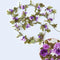 230cm (91in) Silk Rose Artificial Flower Vine