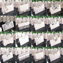 50pcs White Laser Cut Name Place Cards